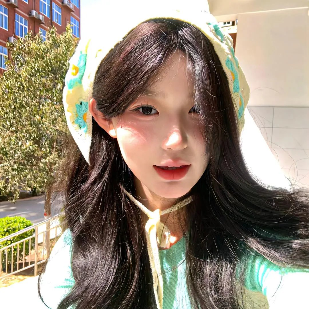 布里斯比熊